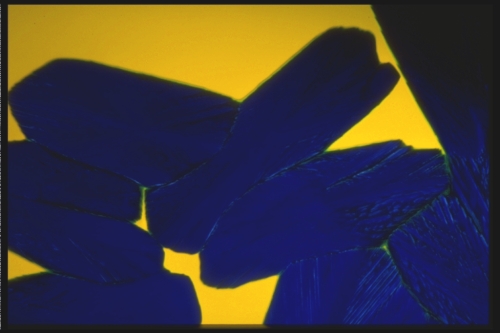 microphoto